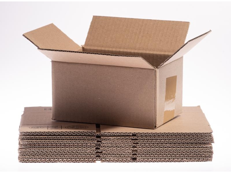 20 KG Shelled Candlenut Export Master Corrugated Carton