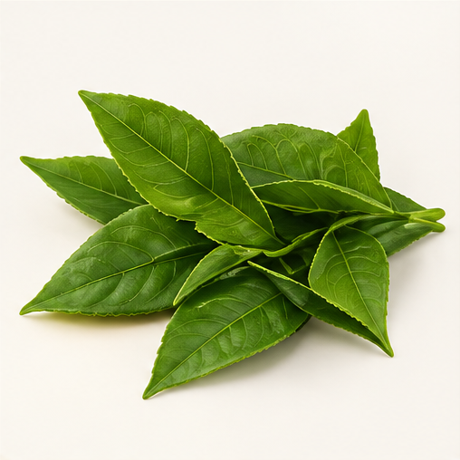 Infused with Green Tea